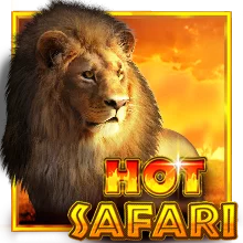 Hot Safari